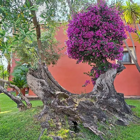 Il Vecchio Mulino Hotel