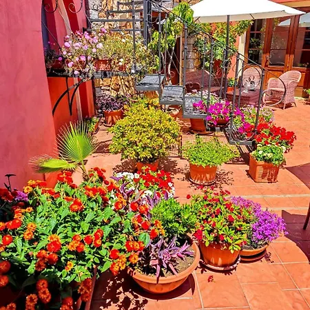 Il Vecchio Mulino 3*