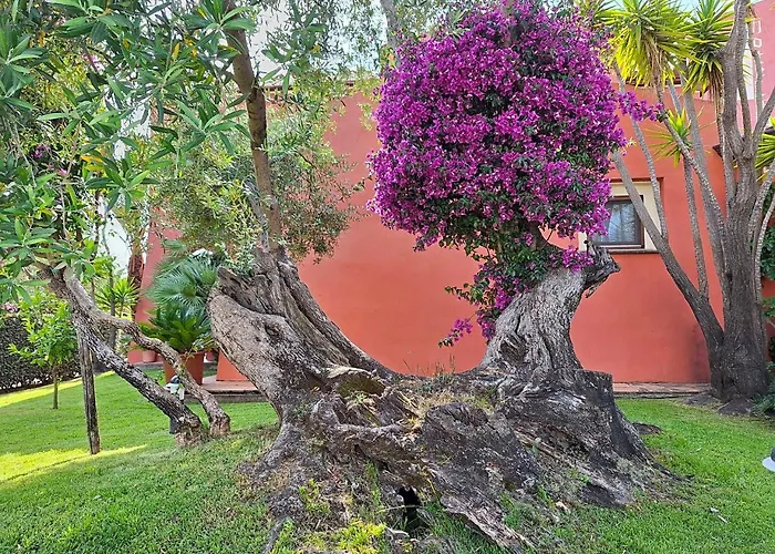 Il Vecchio Mulino Hotel